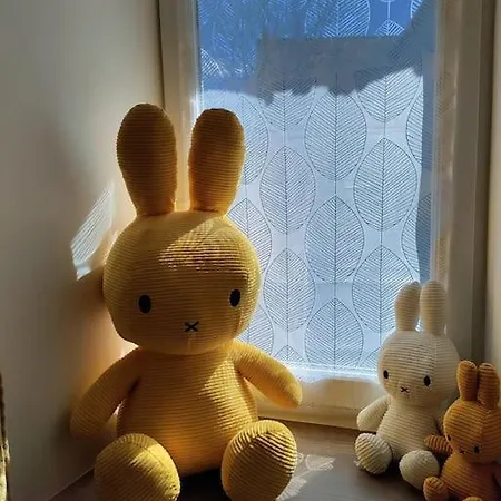 公寓 La Maison De Miffy *
